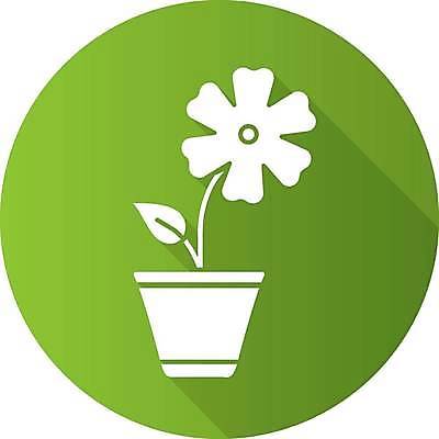 EPS 해외이미지 클립아트 식물 디자인 꽃 화분 화초 컨셉 꽃무늬 일러스트 자연 실내 내부 장식 초록색 픽토그램 웹 벚꽃 개화 플랫 냄비 심볼 오브젝트 사인 내추럴 상형문자 엘리먼트 항목 활자 히비스커스 해외일러스트 문자 컬러 무늬 인터넷 솥 생태계 활자판 파일형식 벡터 주방용품 인쇄판 생활용품 인쇄 이미지허브