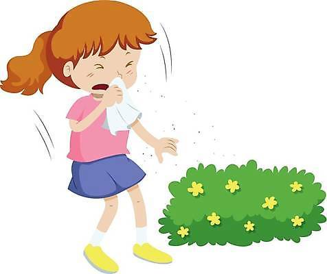 EPS 해외이미지 전신 여자 꽃 어린이 일러스트 한명 들기 화장지 재채기 소녀한명만 꽃가루알레르기 해외일러스트 식물 1 모션 사람 알레르기 여자한명만 소녀만 파일형식 벡터 이미지허브