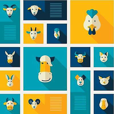 EPS 해외이미지 여러마리 일러스트 염소 오리 사람없음 세트 농장 고양이 토끼 닭 양 말_동물 돼지 개 당나귀 칠면조 해외일러스트 다수 농업 포유류 조류 반려동물 파일형식 벡터 이미지허브