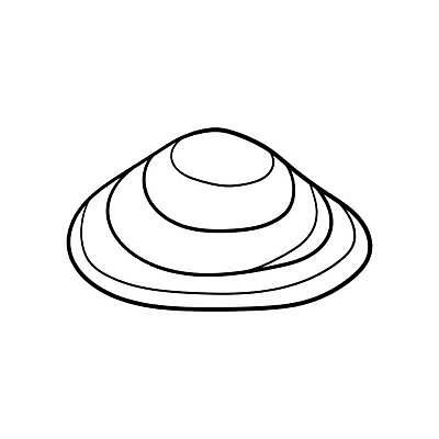 EPS 해외이미지 모양 동물 디자인 야생동물 바다 일러스트 조개 연체동물 검은색 수중 껍질 흰색 원형 낙서 스케치 싱크대 그림 생물학 손그림 가리비 판화 고립 생태학 이국적 해외일러스트 도형 교육 컬러 어패류 무척추동물 미술 개수대 파일형식 벡터 이미지허브