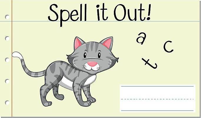 EPS 해외이미지 한마리 알파벳 영어 일러스트 영어교육 사람없음 단어 고양이 단어조합 단어맞추기 단어카드 해외일러스트 문자 1 교육 포유류 반려동물 맞추기 조합 파일형식 벡터 단어장 이미지허브