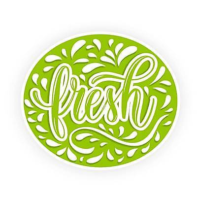 EPS 해외이미지 식물 영어 일러스트 글자캘리그라피 사람없음 연두색 환경 신선 원형 에코 필기체 해외일러스트 도형 문자 캘리그라피 초록색 파일형식 벡터 이미지허브