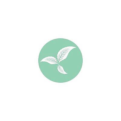 EPS 해외이미지 식물 디자인 음식 잎 일러스트 재료 자연 건강 미술 초록색 약 흰색 신선 플랫 시원함 민트 허브 심볼 사인 유기농 심플 아로마 내추럴 고립 엘리먼트 해외일러스트 웰빙 컬러 의학 문화예술 생태계 파일형식 벡터 이미지허브