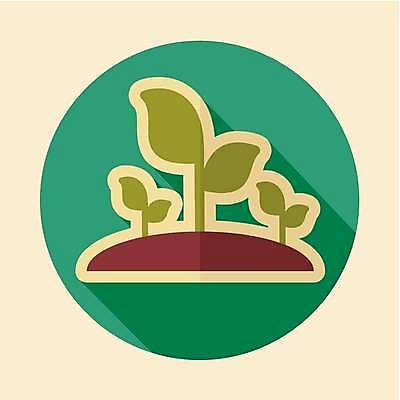 EPS 해외이미지 일러스트 사람없음 초록색 새싹 해외일러스트 식물 컬러 파일형식 벡터 이미지허브