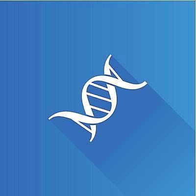 EPS 해외이미지 디자인 과학 곡선 신체 일러스트 자연 모바일 건강 그림자 그래픽 스마트폰 약 계단 웹 플랫 전철 DNA 심볼 오브젝트 사인 생물학 염색체 복제 유전 인터페이스 해외일러스트 교육 선 육상교통 인터넷 의학 대중교통 핸드폰 스마트기기 생명공학 생태계 파일형식 벡터 이미지허브