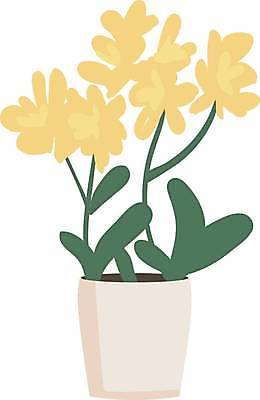 EPS 해외이미지 꽃 화분 줄기 잎 일러스트 사람없음 원예 반려식물 해외일러스트 식물 취미 파일형식 벡터 이미지허브