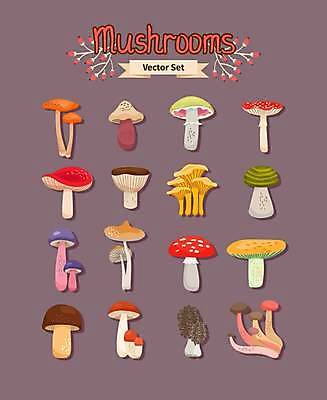 EPS 해외이미지 식물 디자인 계절 음식 백그라운드 채소 일러스트 재료 자연 요리 빨간색 세트 컬러풀 갈색 주방 버섯 수확 성장 가을 굴 흰색 신선 맛 숲 큼 만화 수집 그림 유기농 날것 내추럴 고립 곰팡이 독버섯 식용 채식주의자 해외일러스트 웰빙 컬러 컨셉 농업 어패류 크기 생태계 채식 파일형식 벡터 이미지허브