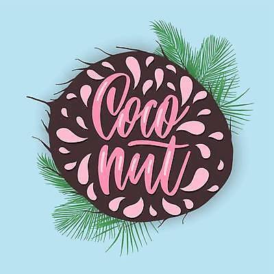 EPS 해외이미지 영어 일러스트 글자캘리그라피 사람없음 여름 코코넛 열대잎 필기체 해외일러스트 문자 계절 잎 과일 캘리그라피 파일형식 벡터 이미지허브