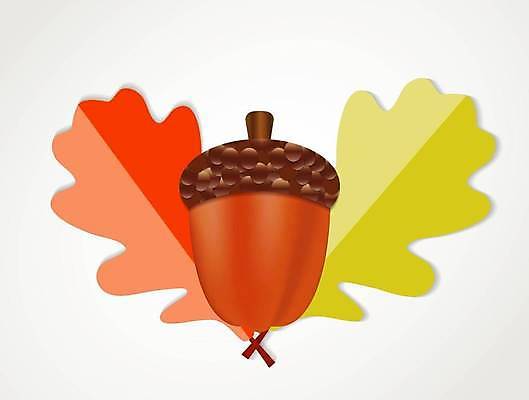 EPS 해외이미지 모양 나무 식물 디자인 계절 실루엣 줄기 단풍 낙엽 잎 일러스트 자연 미술 씨앗 갈색 3D 견과류 성장 가을 흰색 나뭇가지 소나무 숲 만화 자르기 심볼 오브젝트 그림 클립 윤곽 도토리 상록수 원뿔 고립 꼬투리 엘리먼트 해외일러스트 도형 컬러 모션 문화예술 촬영기법 디지털합성 생태계 파일형식 벡터 이미지허브