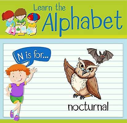 EPS 해외이미지 전신 영어 여자 남자 어린이 말풍선 일러스트 영어교육 소년 여러명 상반신 단어 학습 손인사 부엉이 박쥐 단어공부 야행성 어린이만 단어장 해외일러스트 문자 교육 다수 포유류 조류 사람 공책 인사 파일형식 벡터 이미지허브