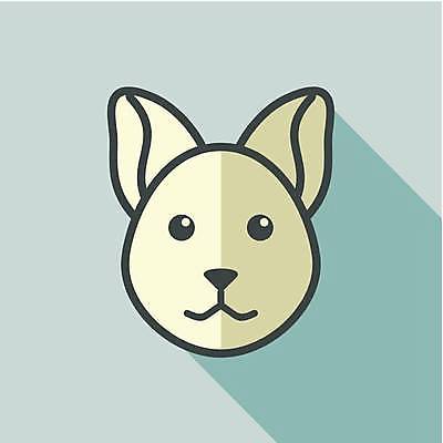 EPS 해외이미지 동물 캐릭터 디자인 얼굴 야생동물 스티커 일러스트 포유류 그림자 반려동물 농장 머리 고양이 입 심볼 사인 주둥이 고립 기르기 해외일러스트 일러캐릭터 농업 신체부위 돌봄 파일형식 벡터 이미지허브