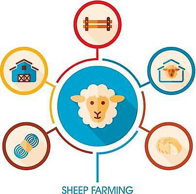 EPS 해외이미지 두마리 일러스트 치즈 사람없음 울타리 농장 양 털실 외양간 양젖 해외일러스트 2 농업 포유류 유제품 담장 실 파일형식 벡터 이미지허브