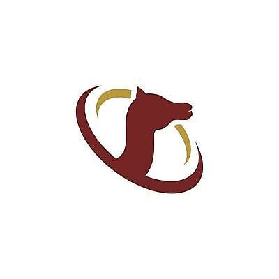 EPS 해외이미지 모양 동물 전통 야생동물 모래 여행 백그라운드 일러스트 포유류 교통시설 자연 하늘 건조 미소 풍경 야외 태양 갈색 사막 흰색 뜨거움 승차 만화 모래언덕 사파리 낙타 동쪽 혹 고립 단봉낙타 아랍어 이국적 해외일러스트 자연요소 컬러 교통 모션 표정 방향 언덕 시설 생태계 파일형식 벡터 이미지허브