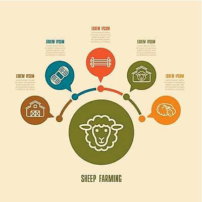 EPS 해외이미지 두마리 일러스트 치즈 사람없음 울타리 농장 양 털실 라인아트 외양간 양젖 양털 해외일러스트 선 2 농업 포유류 유제품 담장 실 파일형식 벡터 이미지허브