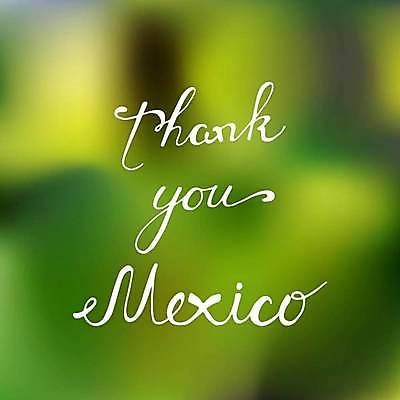 EPS 해외이미지 디자인 포스터 문화 여행 백그라운드 일러스트 텍스트 멕시코 초록색 단어 축제 미국 흰색 낙서 스케치 편지 오브젝트 감사 남쪽 블러 엘리먼트 레터링 해외일러스트 문자 감정 컬러 북아메리카 미술 방향 파일형식 벡터 이미지허브