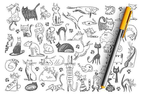 EPS 해외이미지 일러스트 사람없음 반려동물 펜 고양이 스케치 스타일 해외일러스트 동물 포유류 미술 필기구 파일형식 벡터 이미지허브