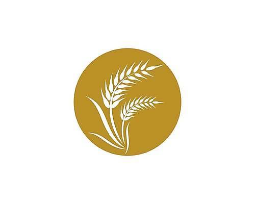 EPS 해외이미지 식물 디자인 배너 음식 빵 백그라운드 농업 다이어트 일러스트 자연 밥 건조 건강 옥수수 씨앗 농작물 농장 노란색 라벨 수확 성장 흰색 신선 시장 황금 상품 낟알 시리얼 밀 먹기 심볼 사인 유기농 보리 귀 밀가루 스파이크 내추럴 고립 밭일 엘리먼트 귀리 해외일러스트 웰빙 산업 컬러 모션 곡류 프레임 신체부위 가루 생태계 파일형식 벡터 사람 이미지허브