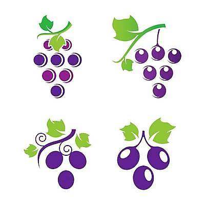 EPS 해외이미지 모양 식물 음식 백그라운드 잎 과일 일러스트 자연 포도 그래픽 라벨 와인 주스 흰색 신선 플랫 달콤 심볼 사인 유기농 심플 포도밭 포도나무 내추럴 엘리먼트 활자 해외일러스트 웰빙 음료 컬러 밭 프레임 주류 맛 과일나무 생태계 활자판 파일형식 벡터 이미지허브