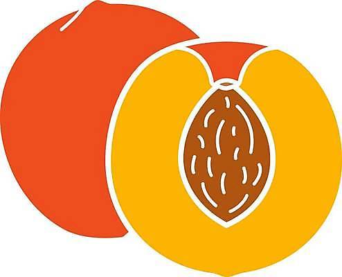 EPS 해외이미지 클립아트 디자인 실루엣 음식 조각 일러스트 씨앗 픽토그램 웹 금지 흰색 클래식 달콤 자르기 심볼 사인 반쪽 슬라이스 윤곽 복숭아 배지 고립 살구 상형문자 천도복숭아 해외일러스트 식물 문자 컬러 컨셉 인터넷 과일 모션 촬영기법 맛 파일형식 벡터 이미지허브