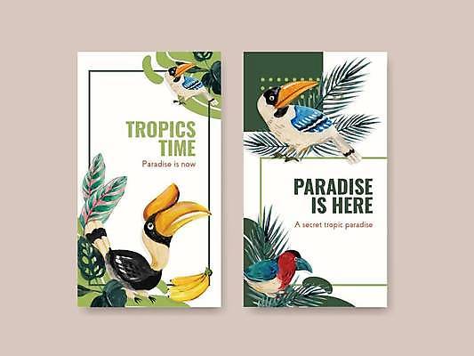 EPS 해외이미지 잎 여러마리 일러스트 조류 열대 바나나 사람없음 초록색 세트 흰색 열대우림 소셜네트워크 소셜미디어 보테니컬아트 트로피컬아트 해외일러스트 식물 동물 컬러 다수 과일 숲 그림 파일형식 벡터 이미지허브