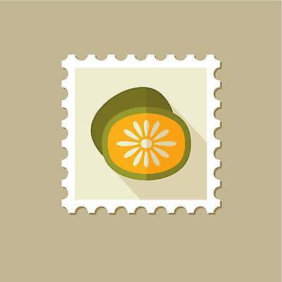 EPS 해외이미지 일러스트 단면 키위 사람없음 초록색 노란색 슬라이스 우표 베이지색 해외일러스트 컬러 과일 파일형식 벡터 이미지허브