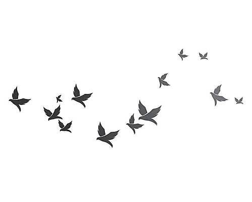 EPS 해외이미지 동물 템플릿 디자인 실루엣 백그라운드 컨셉 날개 일러스트 회사 비즈니스 자연 조류 하늘 추상 파란색 평화 자유 흰색 공작 심볼 사인 비둘기 독수리 고립 봉황 해외일러스트 컬러 무늬 촬영기법 생태계 파일형식 벡터 이미지허브