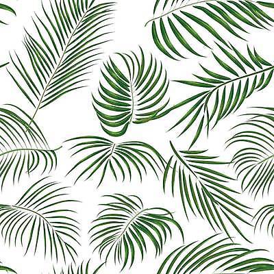 EPS 해외이미지 줄기 백그라운드 패턴 일러스트 사람없음 초록색 패턴백그라운드 흰색 시원함 열대잎 보테니컬아트 해외일러스트 식물 컬러 잎 무늬 파일형식 벡터 이미지허브