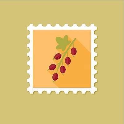 EPS 해외이미지 줄기 잎 일러스트 사람없음 빨간색 연두색 노란색 우표 커런트 해외일러스트 식물 열매 컬러 초록색 파일형식 벡터 이미지허브