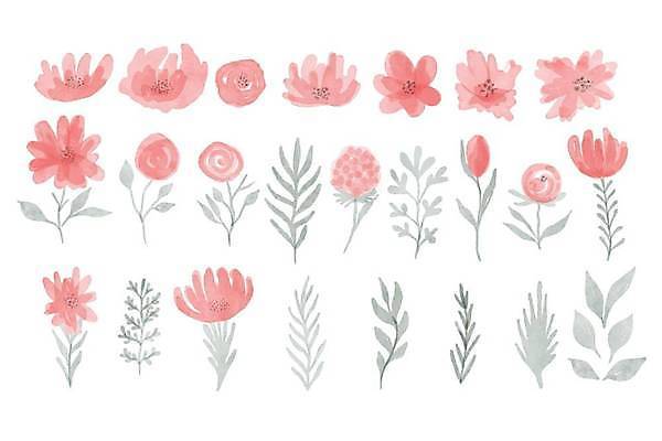 EPS 해외이미지 디자인 꽃 줄기 잎 일러스트 수채화 사람없음 다양 엘리먼트 해외일러스트 식물 다수 파일형식 벡터 이미지허브