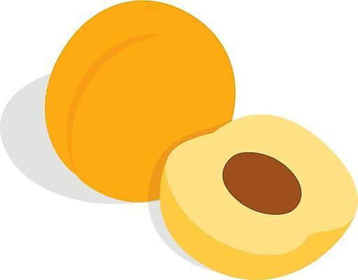 EPS 해외이미지 식물 계절 음식 조각 잎 농업 다이어트 오렌지 일러스트 재료 자연 디저트 건강 씨앗 노란색 3D 정원 신선 달콤 맛 상품 자르기 오브젝트 유기농 날것 향기 복숭아 내추럴 살구 숙성 채식주의자 핵심 해외일러스트 웰빙 산업 컬러 컨셉 과일 모션 디지털합성 생태계 채식 냄새 파일형식 벡터 이미지허브