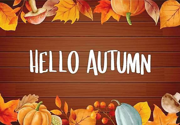 EPS 해외이미지 열매 단풍 낙엽 일러스트 호박 프레임 타이포그라피 사람없음 갈색 버섯 프레임일러스트 나무배경 해외일러스트 식물 문자 컬러 백그라운드 잎 채소 파일형식 벡터 이미지허브