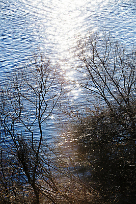 포토 JPG 주간 풍경 사람없음 야외 반짝임 햇빛 반사 소나무 경상북도 안동 안동호 국내포토 자연요소 나무 호수 모션 태양 경상도 파일형식