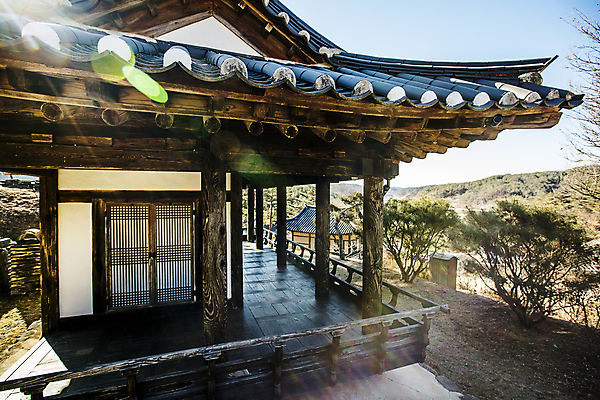 포토 JPG 주간 나무 산 한옥 기와집 풍경 사람없음 야외 햇빛 경상북도 기와지붕 안동 고택 국내포토 자연요소 식물 한국전통 건축물 고건축 지붕 기와 태양 경상도 파일형식