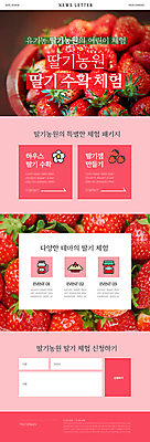 PSD 템플릿 ZIP 분홍색 웹템플릿 딸기 사람없음 빨간색 바구니 수확 체험 유기농 만들기 농장체험 뉴스레터 딸기주스 딸기잼 딸기꽃 딸기농장 이미지템플릿 웰빙 꽃 컬러 컨셉 농업 과일 모션 농장 체험학습 과일주스 잼 파일형식