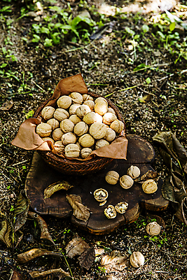 포토 JPG 주간 단면 사람없음 야외 바구니 충청남도 땅 천 가득함 담기 특산물 호두 나무받침 천안 국내포토 자연요소 모션 목재 견과류 직물 받침대 충청도 파일형식