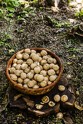 포토 JPG 주간 단면 사람없음 야외 바구니 충청남도 땅 가득함 담기 특산물 호두 나무받침 천안 국내포토 자연요소 모션 목재 견과류 받침대 충청도 파일형식