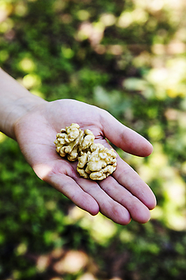 포토 JPG 주간 손 들기 야외 아웃포커스 신체부위 두개 충청남도 특산물 호두 보여주기 천안 국내포토 자연요소 2 모션 촬영기법 사람 견과류 충청도 파일형식