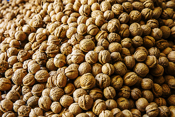 포토 JPG 실내 사람없음 갈색 충청남도 가득함 특산물 호두 천안 국내포토 컬러 내부 견과류 충청도 파일형식