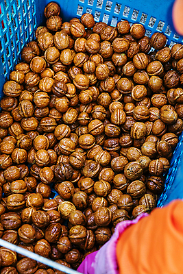 포토 JPG 실내 신체부위 바구니 충청남도 가득함 담기 특산물 호두 팔 천안 국내포토 모션 사람 내부 견과류 충청도 파일형식