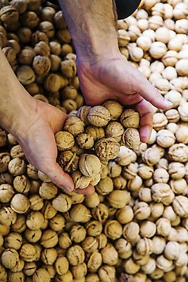 포토 JPG 손 실내 들기 신체부위 충청남도 가득함 특산물 호두 보여주기 천안 국내포토 모션 사람 내부 견과류 충청도 파일형식