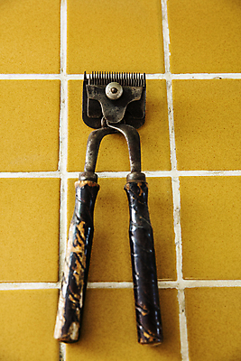 포토 JPG 실내 사람없음 뷰티 골동품 미용실 충청남도 이발 타일 이발소 바리깡 타일바닥 국내포토 청주시 바닥 내부 뷰티샵 충청도 충청북도 파일형식