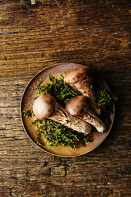 포토 JPG 접시 식재료 실내 사람없음 특산물 강원도 송이 송이버섯 양양군 나무배경 국내포토 식기 백그라운드 한국 내부 버섯 파일형식