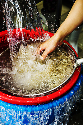 포토 JPG 손 서울 실내 신체부위 물 바구니 면 채망 씻기 냉면 면발 물뿌리기 평양냉면 국내포토 자연요소 한식 모션 주방용품 여름음식 한국 사람 내부 청결 파일형식 북한음식