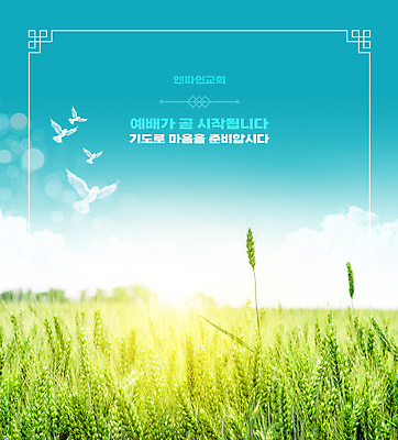 PSD 구름 편집이미지 기독교 하늘색 여러마리 자연 하늘 사람없음 연두색 햇빛 태양 교회 기도 비둘기 예배 보리밭 빛망울 이미지편집 자연요소 종교 다수 밭 종교건축 조류 건물 초록색 파란색 빛 생태계 보리 파일형식