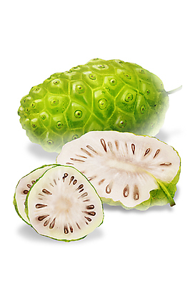 PSD 일러스트 단면 사람없음 초록색 슬라이스 디테일 노니 국내일러스트 열매 컬러 파일형식