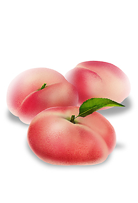 PSD 분홍색 잎 일러스트 사람없음 달콤 복숭아 디테일 국내일러스트 식물 컬러 과일 맛 파일형식