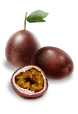 PSD 잎 일러스트 단면 사람없음 갈색 달콤 열대과일 패션후르츠 디테일 국내일러스트 식물 컬러 과일 맛 파일형식