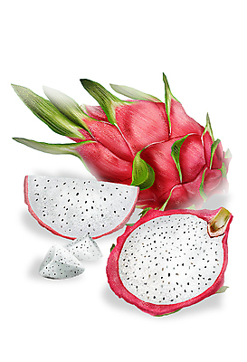 PSD 분홍색 일러스트 단면 사람없음 열대과일 슬라이스 용과 디테일 국내일러스트 컬러 과일 파일형식