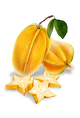 PSD 잎 일러스트 단면 사람없음 노란색 열대과일 슬라이스 스타후르츠 디테일 국내일러스트 식물 컬러 과일 파일형식