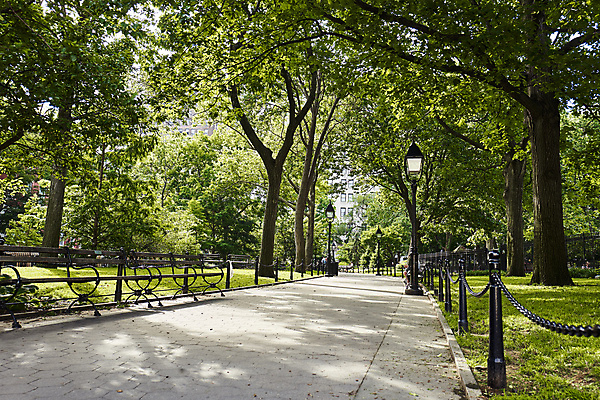 포토 JPG 주간 나무 해외풍경 공원 가로등 벤치 잔디 사람없음 야외 산책로 뉴욕 공원길 한가함 국내포토 자연요소 식물 해외 공공시설 길 컨셉 의자 풍경 미국 파일형식